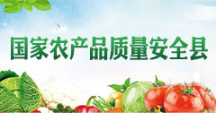 专家 说种子(1).png